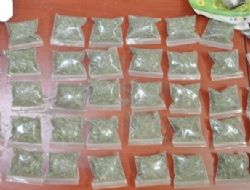Uyuşturucu operasyonunda 3 gözaltı